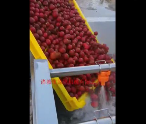 喷淋式洗果机